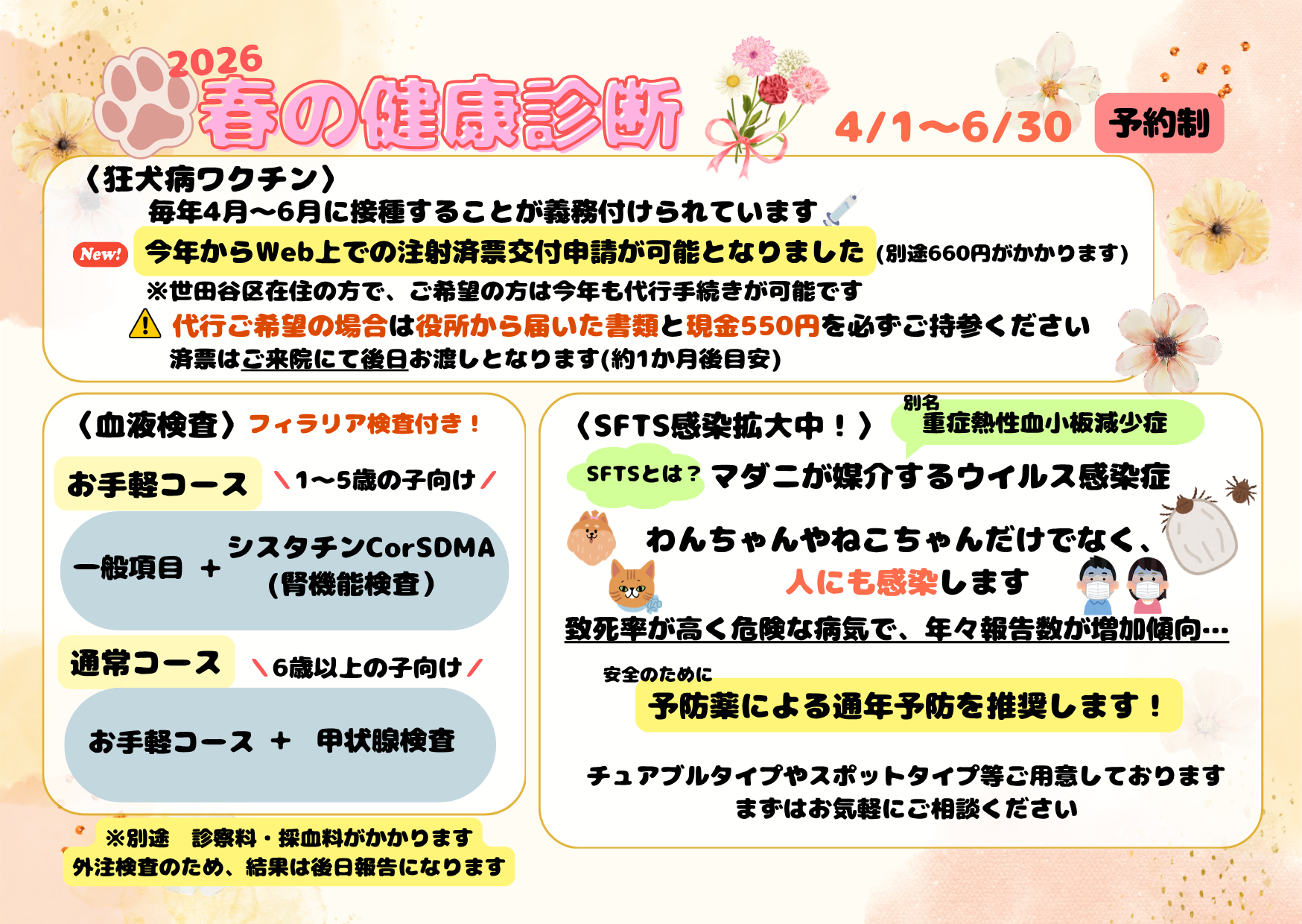 お知らせの写真